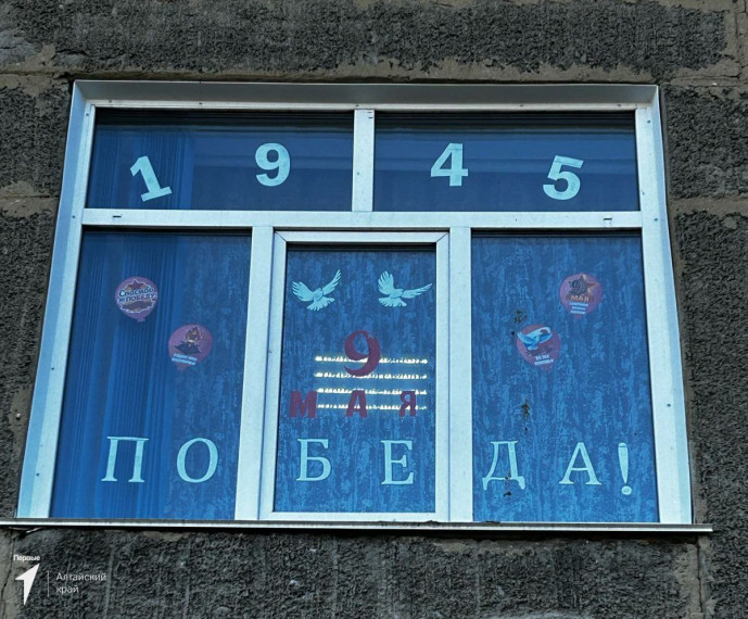 ️Георгиевские ленты, гвоздики, памятники «Родина-мать» и «Алёша» украсили окна жителей Алтайского края..